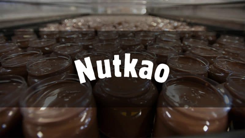 how nutkao sustained rapid growth with flexible shipping solutions from coyote logistics
